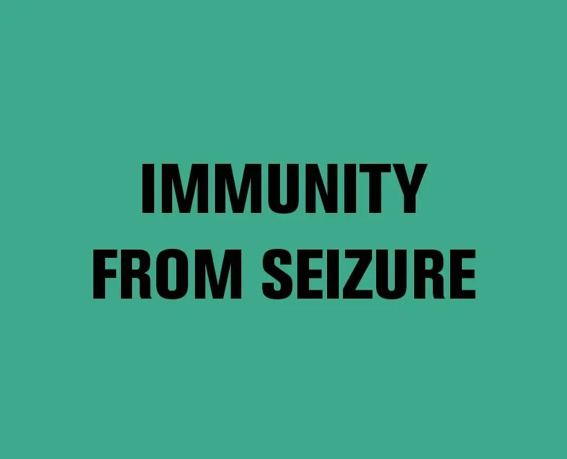 Immunity From Seizure
